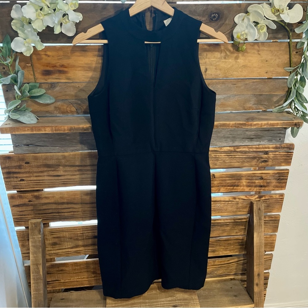 Ann Taylor Loft Mini Dress